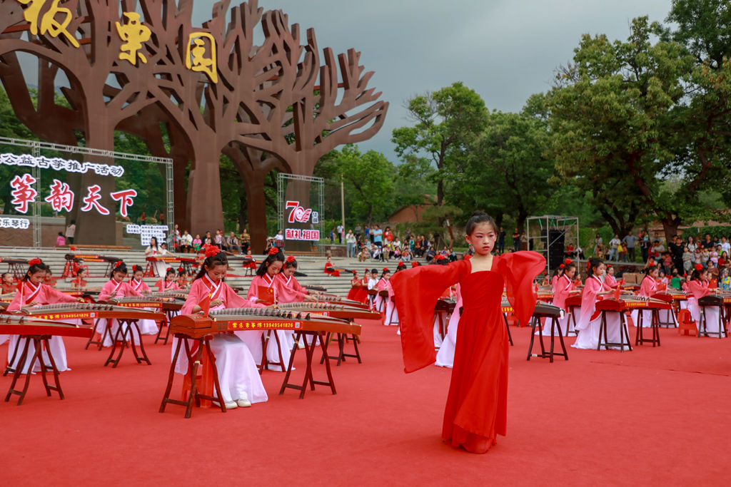 中國(guó)古箏日·盛世國(guó)樂(lè)·箏韻天下 林州百人古箏音樂(lè)會(huì) (91)